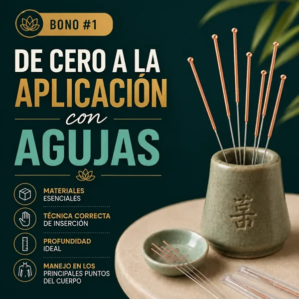 Bono #1: De Cero a la Aplicación con Agujas