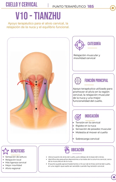 Acupuntura Corporal: punto 1