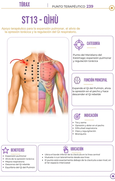Acupuntura Corporal: punto 3